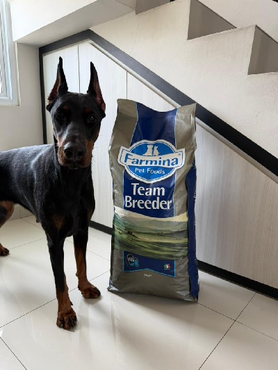 Name: Cleopatra, Location: Jakarta